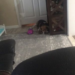 Meet your Posher, Craig